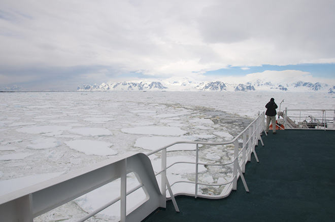 Научное судно устремляется в Антарктиду