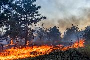 Пожары в цифрах: сколько горит, сколько сгорело, как далеко распространился дым